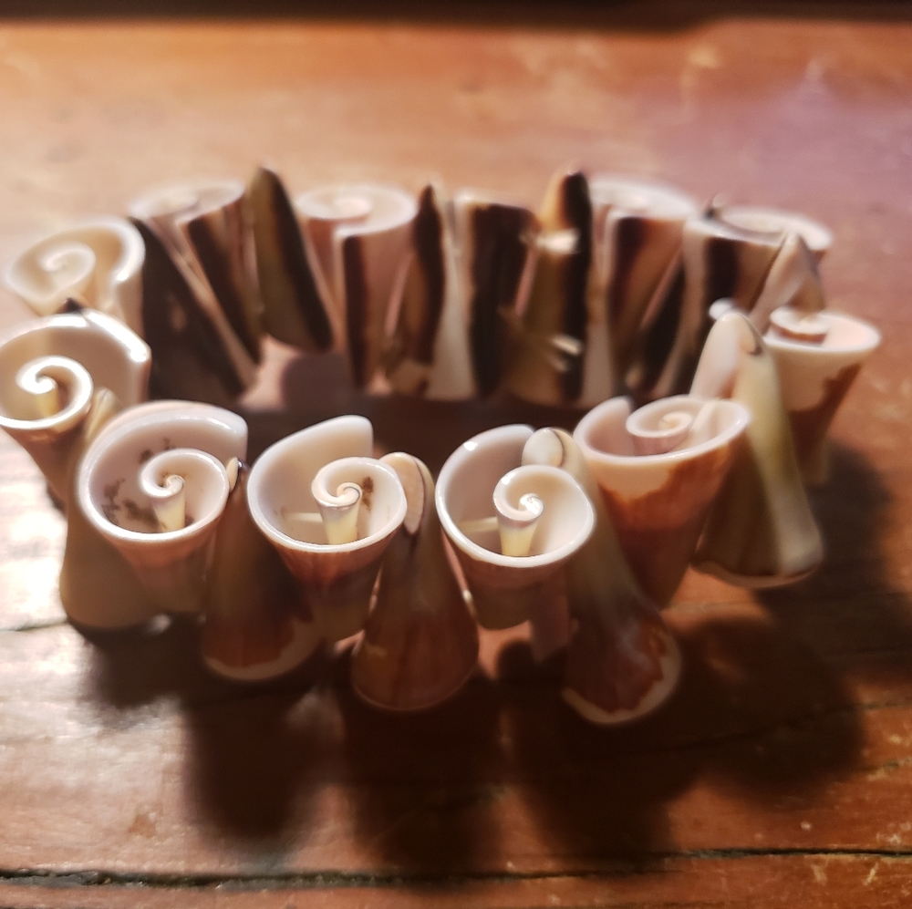 Spiral Seashells Conch Shell Stretch Bracelet